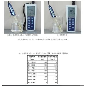 業界最大級の重量(従来品の2.5倍)の水素セラ...の詳細画像3