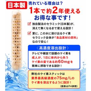 食品素材のケイ素セラミック使用 シリカ ケイ素...の詳細画像2