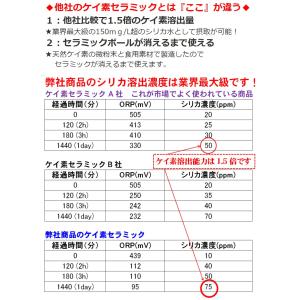 食品素材のケイ素セラミック使用 シリカ ケイ素...の詳細画像3