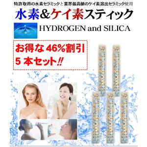 水素＆ケイ素スティック HYDROGEN and SILICA 5本