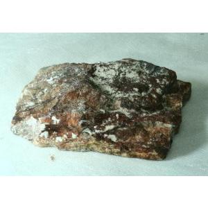 クォーツ オン ペトリファイドウッド 原石 産地 ドイツ Petrified 珪化