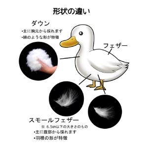 寝袋 -25℃対応 高級ダウン 90%ダックダ...の詳細画像5