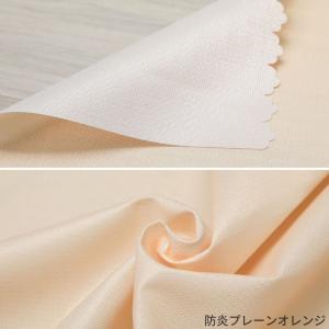 のれん 暖簾 間仕切り 横幅72cm 防炎 ミ...の詳細画像5