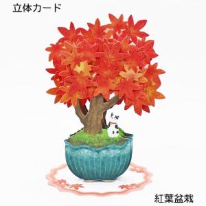 丸山晶子ポストカードセット 参 湘南 風景 はがき 手紙 便り 海 山