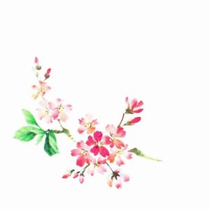 和紙テーブルマット 吉野桜 10枚入 敷き紙 ...の詳細画像2