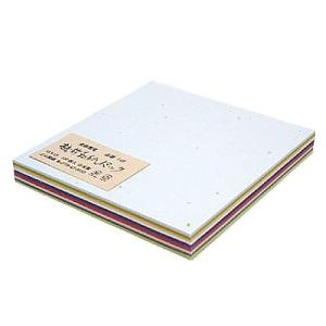 越前和紙 金銀雲竜パック 和紙 セット ラッピング 包装紙