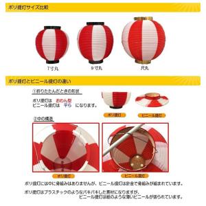(15〜49個) 七寸丸 7寸丸 2色 ポリ提...の詳細画像4