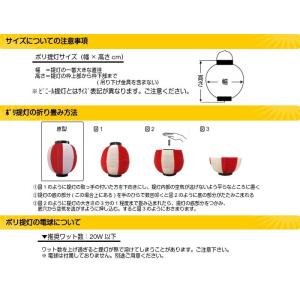 (15〜49個) 七寸丸 7寸丸 2色 ポリ提...の詳細画像5
