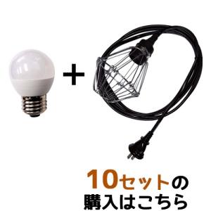 提灯 ちょうちん ラーメン/ギョウザ 17号長型超特大 高さ90cm : 台所の