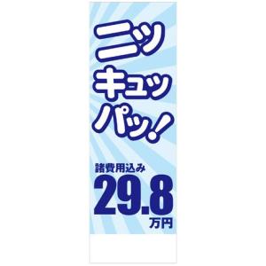 社名入れ可能！のぼり「ニッキュッパッ！29.8万円」10枚セット｜pr-youhin