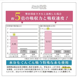 バスタオル ハーフ ミニ 小さめ 今治 今治タ...の詳細画像3