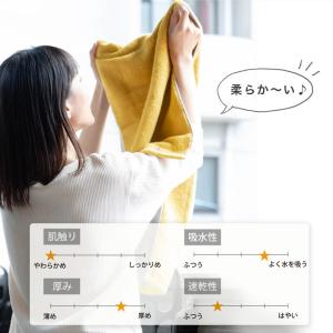 バスタオル 2枚 ハーフ ミニ 今治 厚手 今...の詳細画像5