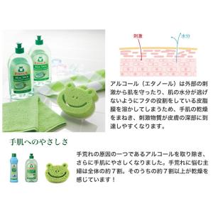 フロッシュ Frosh アロエベラ ギフト お...の詳細画像3