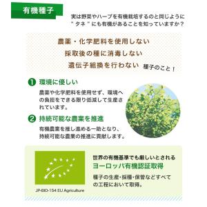 豆苗 スプラウト 種 種子 有機種子 オーガニ...の詳細画像4