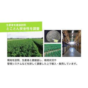 豆苗 スプラウト 種 種子 有機種子 オーガニ...の詳細画像5