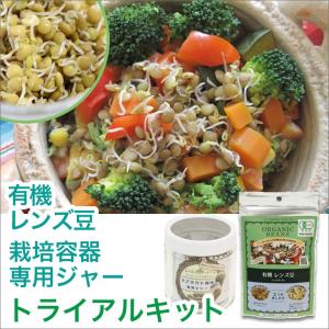 レンズ豆 スプラウト 発芽豆 栽培セット 栽培キット