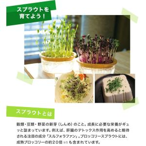 スプラウト 発芽豆 栽培容器 かいわれ型 家庭...の詳細画像1