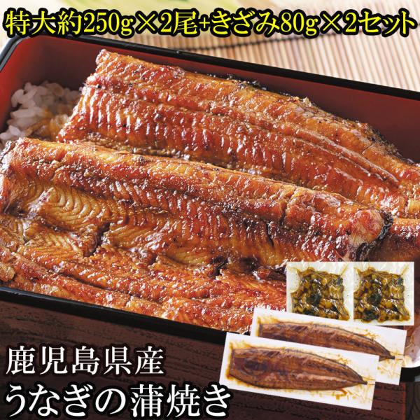 うなぎ 超特大 国産 蒲焼き きざみ 鰻 お取り寄せ ギフト ギフト グルメ 食べ物 プレゼント 美...