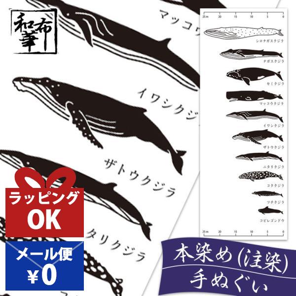 手ぬぐい おしゃれ 和柄 年中掛け 鯨 クジラ くじら 魚拓 寸法 おもしろ 変わり種 注染 注染手...