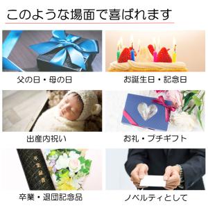 アンダーアーマー ハンカチ スポーツブランド ...の詳細画像5