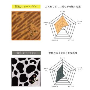 タオルハンカチ 猫 毛並み ネコ 刺繍 ハンカ...の詳細画像3