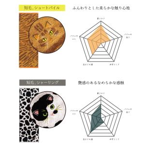 フェイスタオル 猫 毛並み ネコ 刺繍 今治タ...の詳細画像4