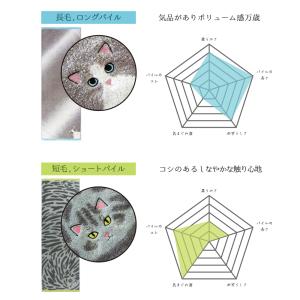 フェイスタオル 猫 毛並み ネコ 刺繍 今治タ...の詳細画像5