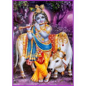 インドの神様 クリシュナ神(幼少期) お守りカード[010] ラミネート加工済み　India God【Krishna(Childhood)】Small Card (Charm) ※The card is laminated.