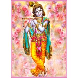 インドの神様 クリシュナ神のお守りカード(小)×1枚[010] India God【krishna】Small Card(charm)
