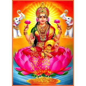 インドの神様 ラクシュミー神 お守りカード×1枚[006] ラミネート加工済み India God【Laxmi】Small Card (Charm)※The card is laminated.