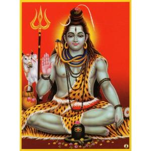 インドの神様 シヴァ神 お守りカード×1枚[001]　India God【Siva】Small Card (Charm)【創造】【破壊】【再生】【瞑想】【芸術】【ヨーガ】【解脱】