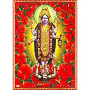 インドの神様 カーリー神 お守りステッカー×1枚[009] India God【Kali】Small Sticker (Charm)【黒】【黒き者】【黒き母】【殺戮】【破壊】【勝利】