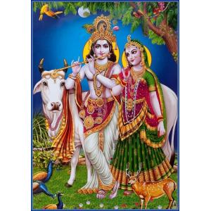 インドの神様 クリシュナ＆ラーダのお守りカード[009]　India God【Krishna＆Radha】Small Card (Charm)