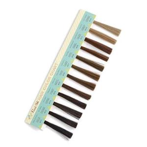 色見本 カラーチャート 髪の商品一覧 通販 Yahoo ショッピング