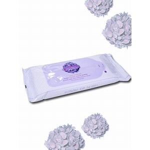 VICTORIA'S SECRET Sanitizing Hand Wipes(ヴィクトリア・ビクトリアシークレット・ハンドワイプス) -Love Spell (ラブスペル)-｜prast