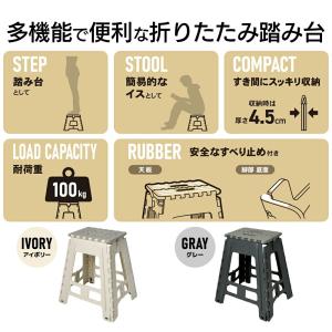 パークレーン 折りたたみ踏み台 45cm ダー...の詳細画像1