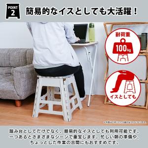 パークレーン 折りたたみ踏み台 45cm ダー...の詳細画像3