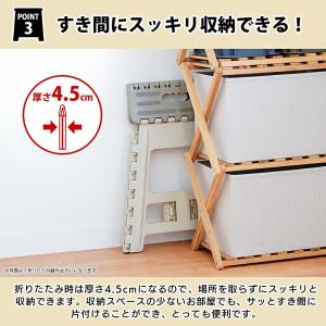 パークレーン 折りたたみ踏み台 45cm ダー...の詳細画像4