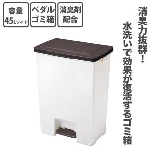 アスベル ASVEL R防臭エバンペダル 45L ワイド 4974908641831