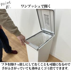 アスベル エバン密閉プッシュペール30L ホワ...の詳細画像1