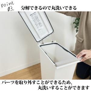 アスベル エバン密閉プッシュペール30L ホワ...の詳細画像3
