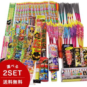 花火 セット 手持ち花火  花火屋のマジ盛り バラエティセット