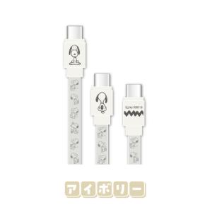 送料無料 ピーナッツ PD60W対応 USB2...の詳細画像1