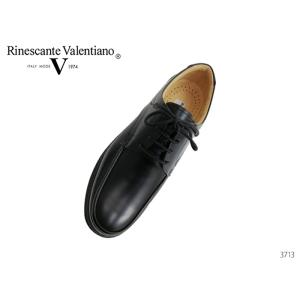 リナシャンテバレンチノ Rinescante Valentiano 3023 日本製 ビジネス