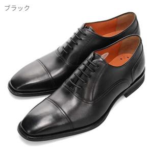 MODELLO VITA（モデロヴィータ） マドラス 製 モデロ ヴィータ VT8702