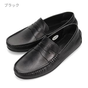 madras（マドラス） マドラス社製 モデロ ヴィータ ドライビング