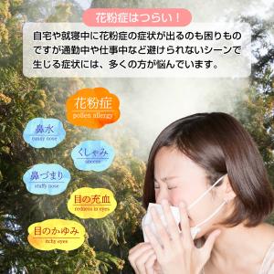 ノーズマスクピットネオ neo 花粉症対策グッ...の詳細画像4