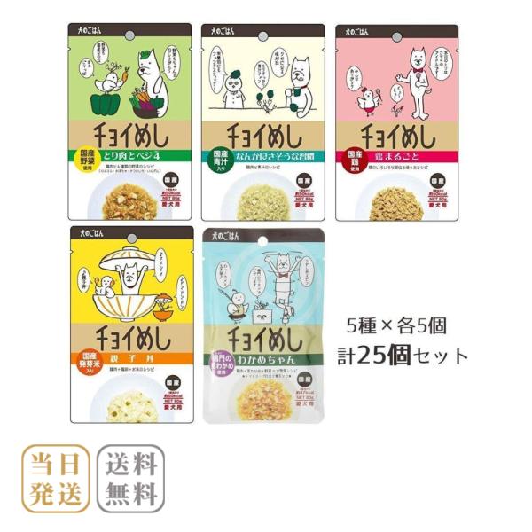 チョイめし80g 人気5種類×5 計25個 わんわん 犬のおやつ ドッグフード 送料無料