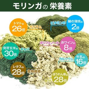 便秘 効果 モリンガ お試しセット お一人様1...の詳細画像2
