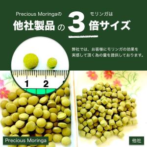 便秘 効果 モリンガ お試しセット お一人様1...の詳細画像4